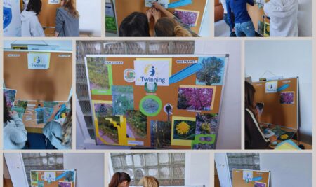 eTwinning nástenka