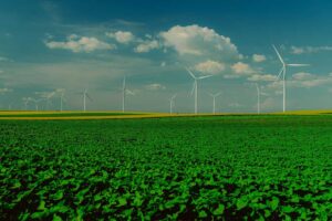 pexels-alex-sanchez-2150797975-32408717